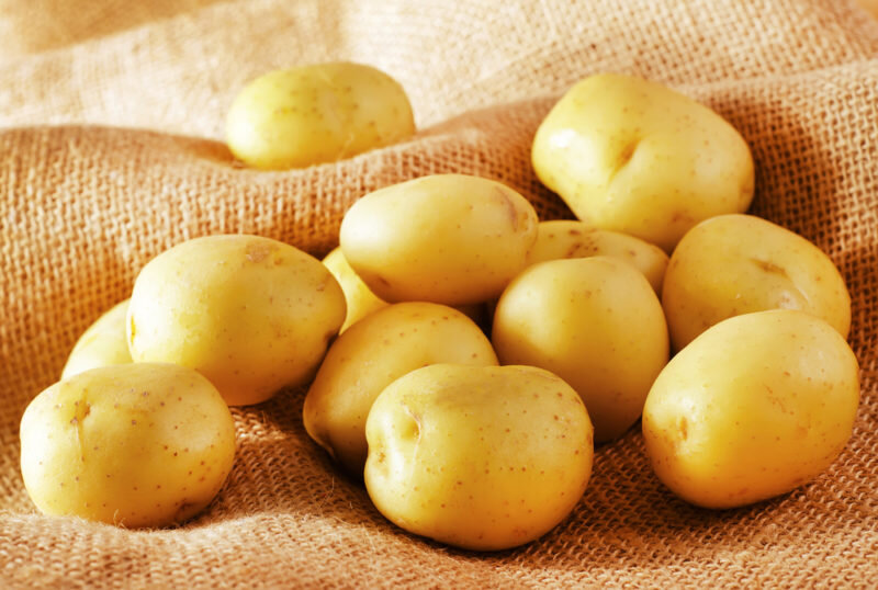 Картофель белорусской селекции: высокая урожайность и полезные свойства дляздоровья
