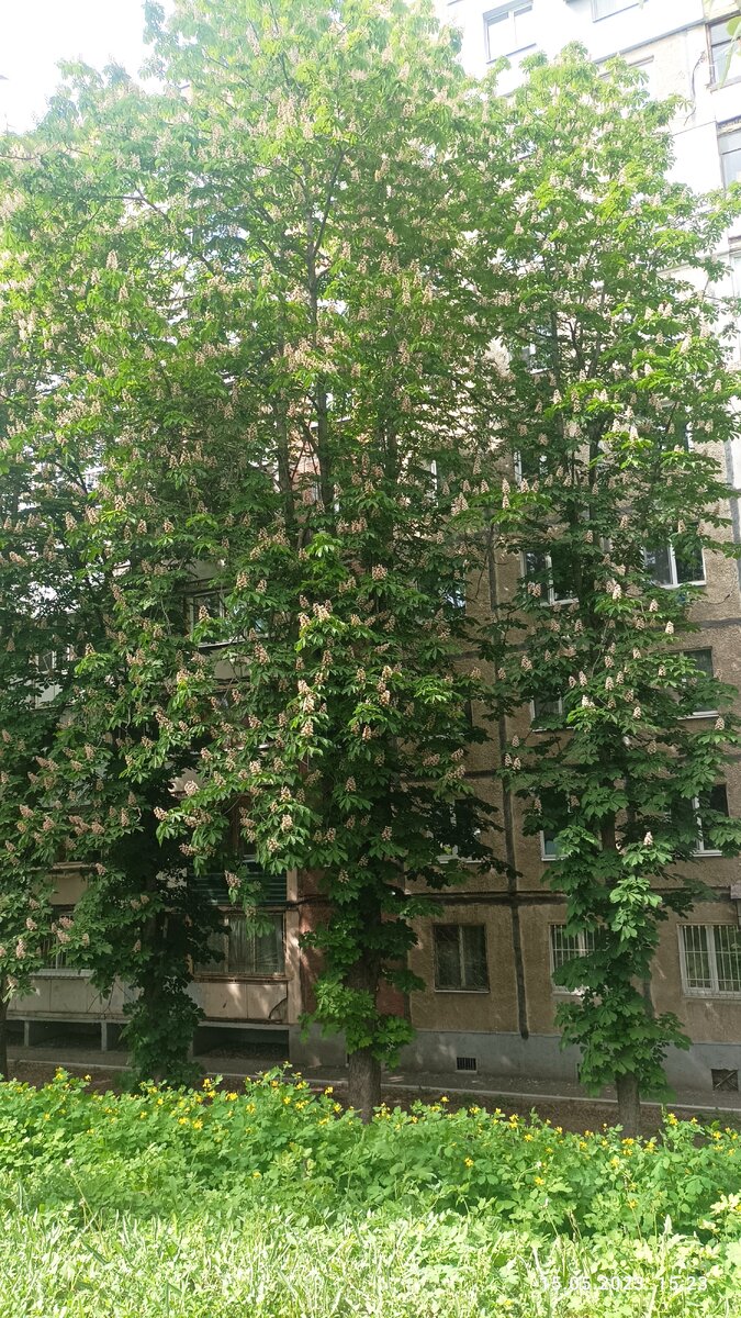 Личное фото 