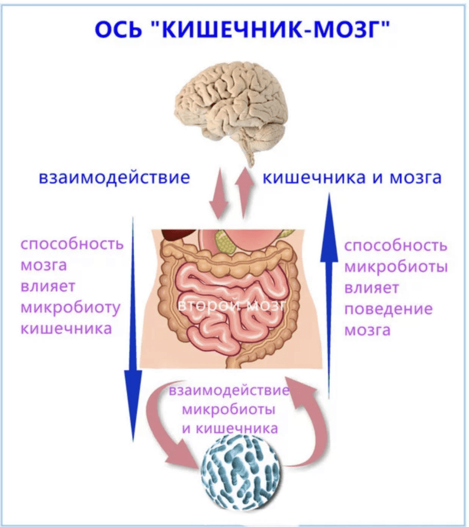 Источник: https://www.liveinternet.ru/users/5378051/tags/%D0%B0%D0%BD%D1%83%D1%81/