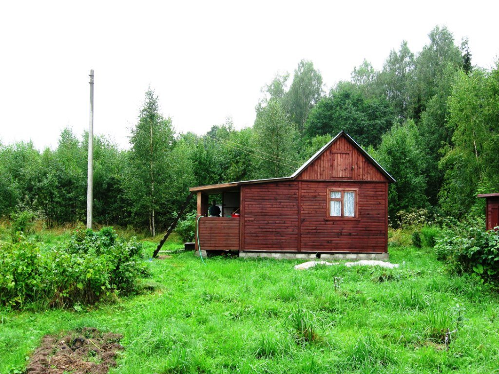    Сразу видно, что или новосел, или лентяй – все травой поросло. Фото: Мир Квартир