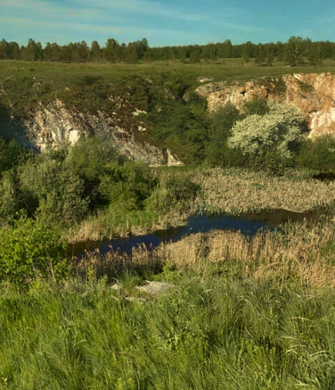 Миасская аномальная зона - тайна, которая уже долгое время привлекает людей со всего мира. 