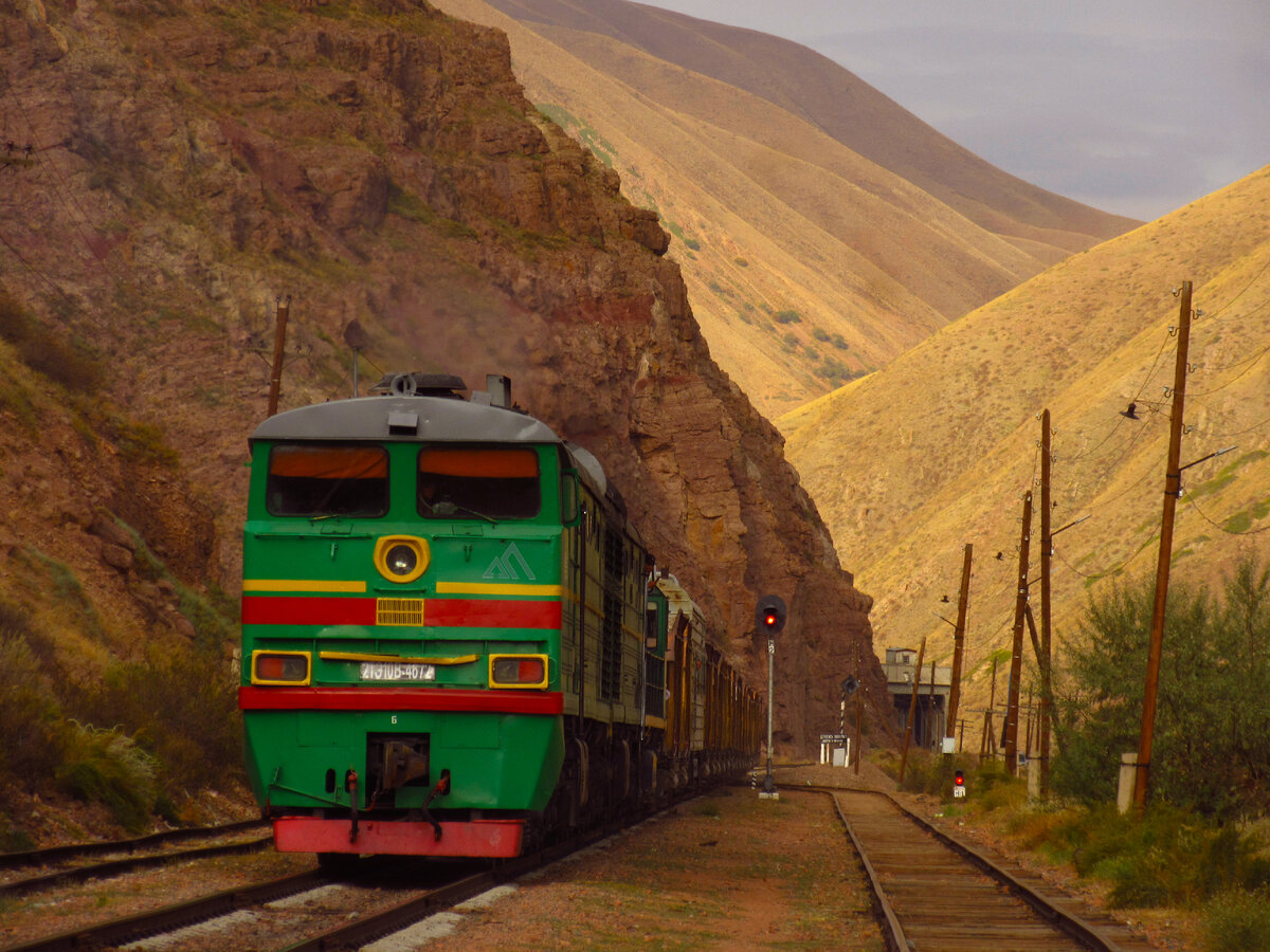 Все фото автора, если не указано иное. Вторая половина 2022 года.