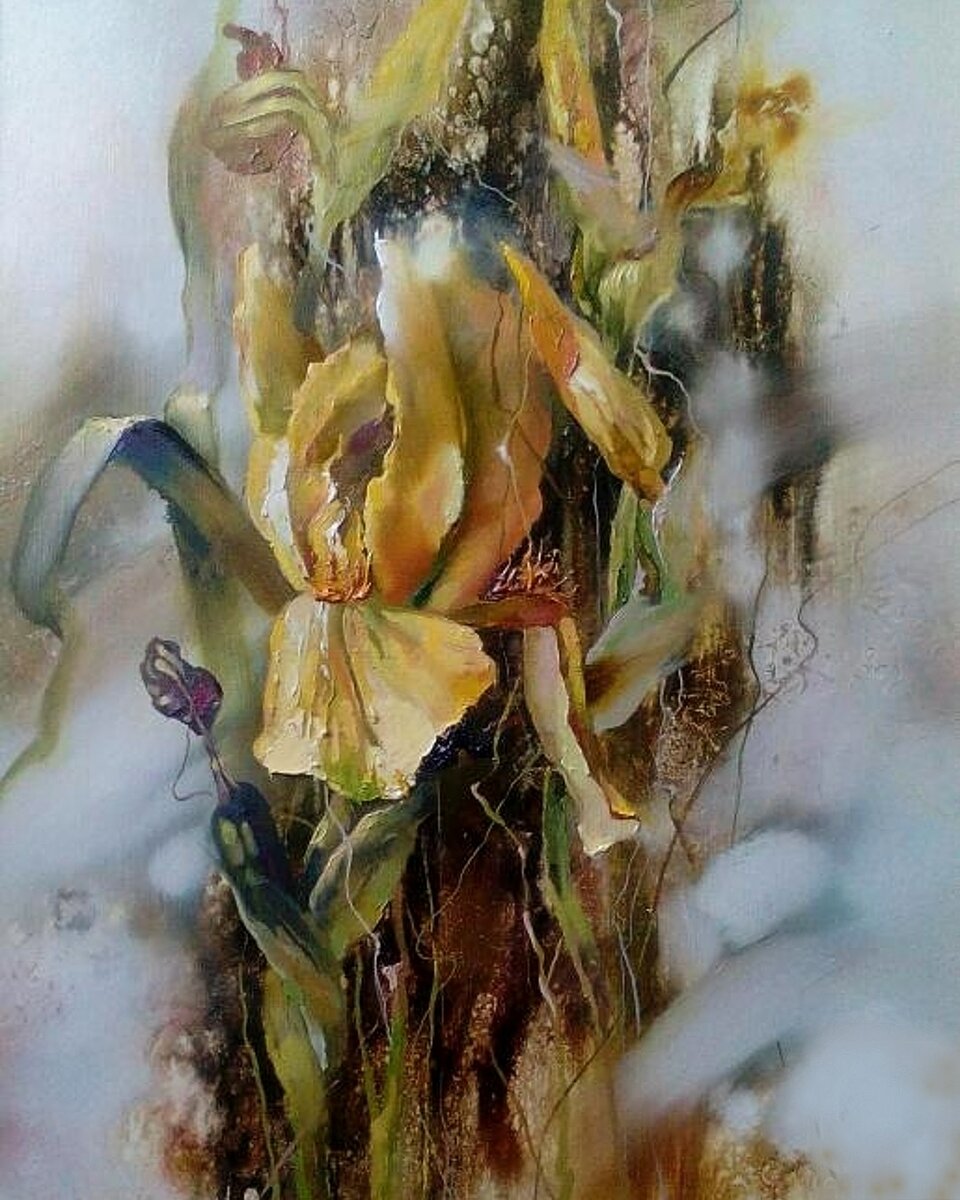 ����� ������ "Ƹ���� �����", �������� liveinternet.ru