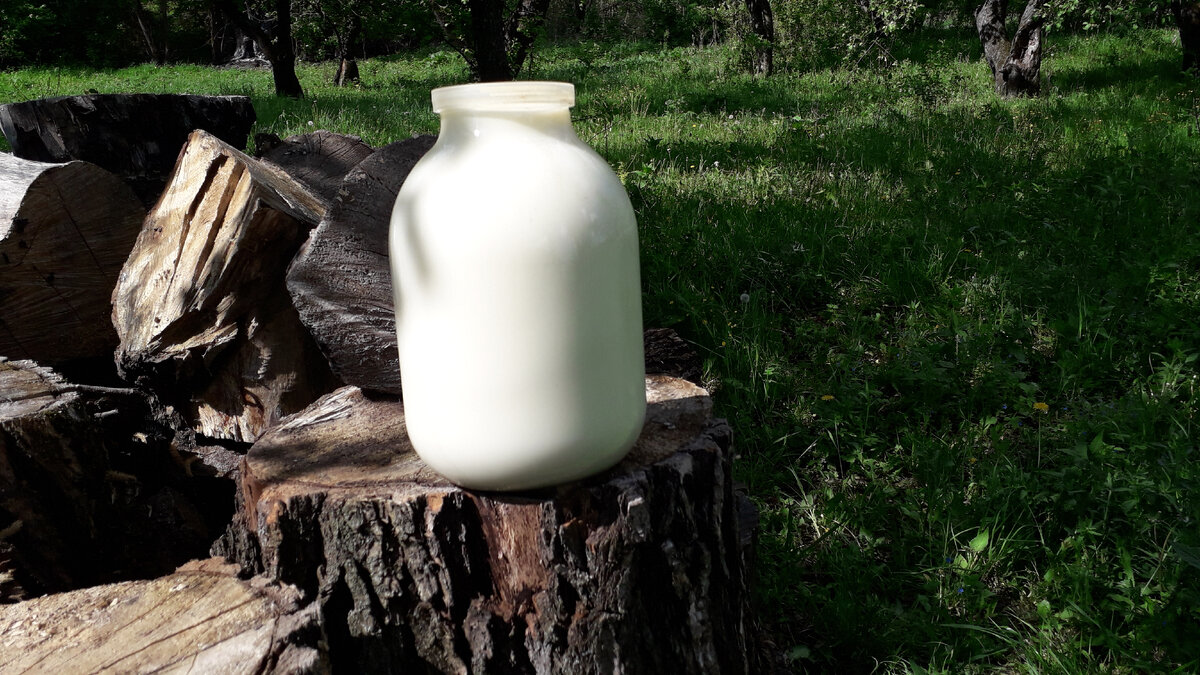 Натюрморт 😀