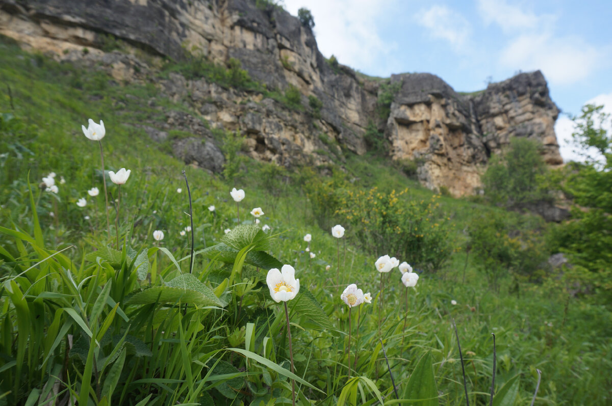 Юлия Сова, астролог. Фото автора