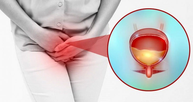 все фото - яндекс-картинки