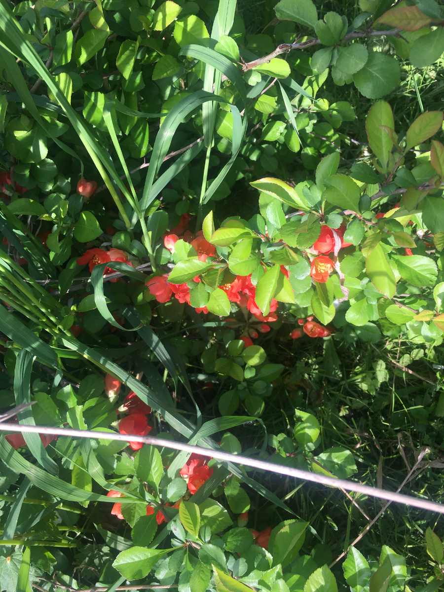 тоже полоть надо