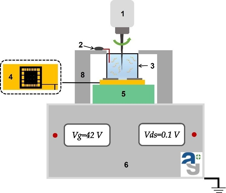 Схематичное изображение основных компонентов аналитического модуля биосенсора с нанопроводным чипом. Обозначения: 1— мешалка, 2 — Pt-электрод, 3 — измерительная кювета, 4 — чип, 5 — держатель чипа, 6-электронная система.