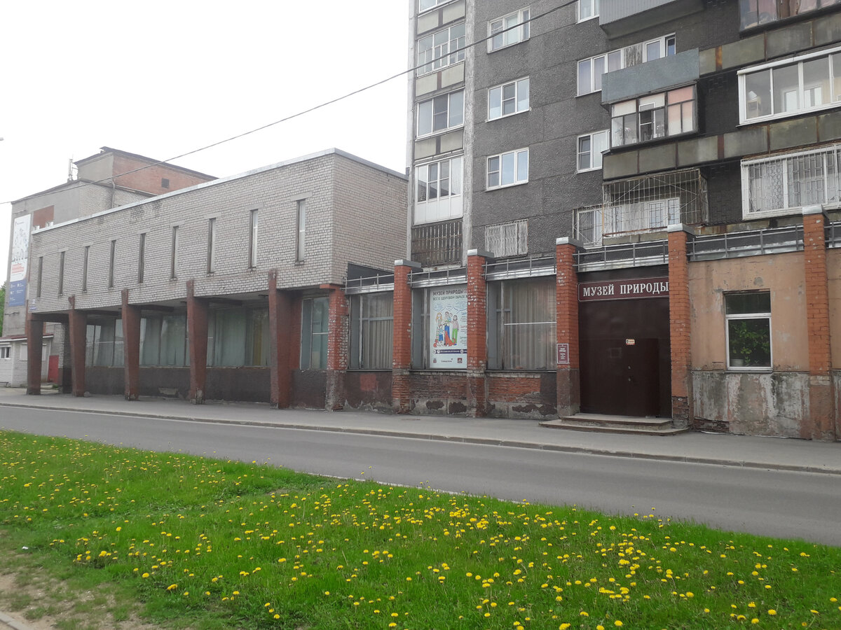 25 мая 2023 10:24