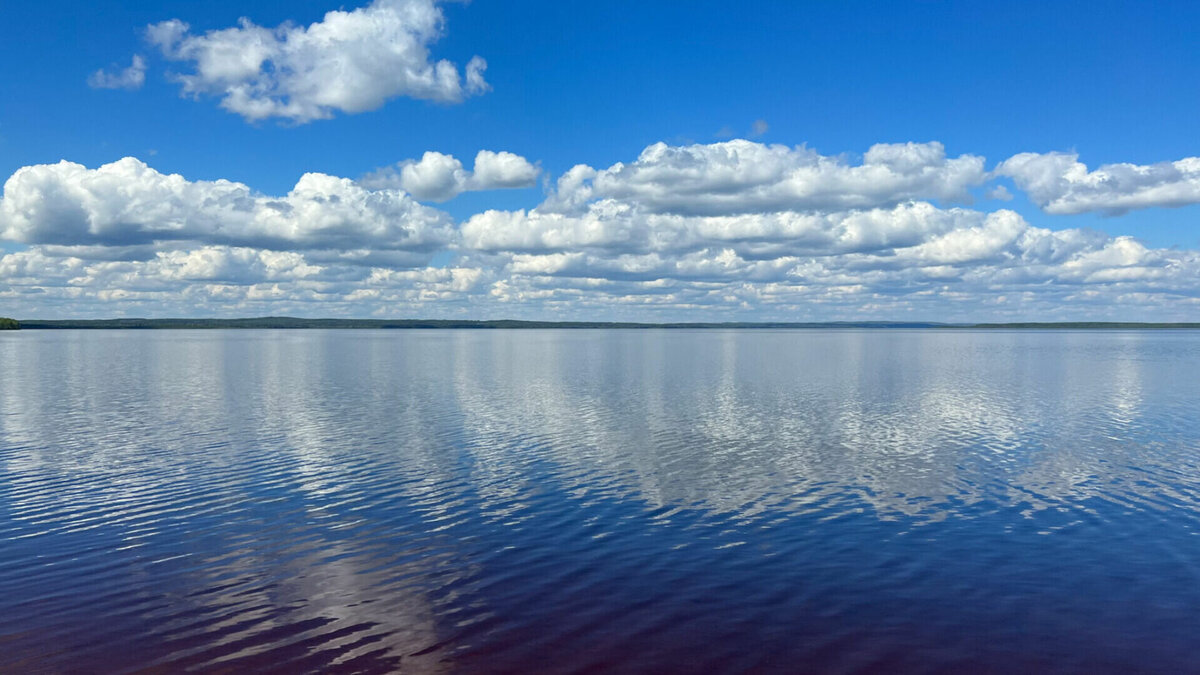     Купаться в реке Каме в Сарапуле категорически запрещено. Такое предупреждение дали в городском Управлении Роспотребнадзора.