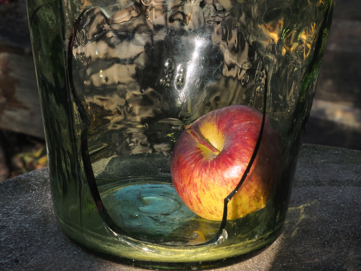 фото Надежды Павлючковой-Кочневой 