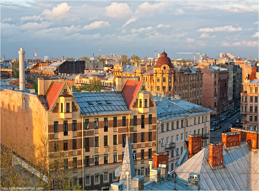 петроградка в питере. красивые места на петроградке для фотосессии. как выглядит санкт петербург сейчас. пушкинская улица. санкт-петербург петроградская.