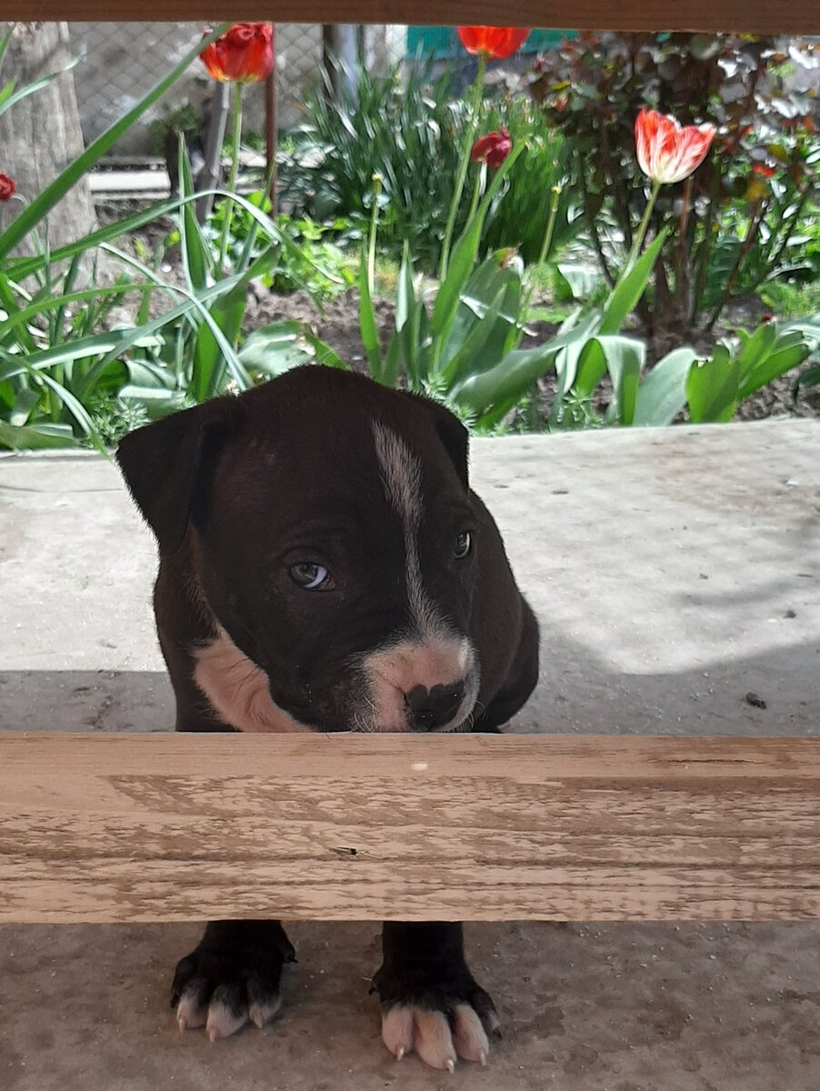 Знакомство