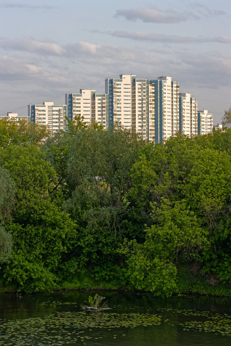 Новые мосты через затоны юга Москвы - Новинки, Кожуховский, Южный порт. Эта  территория зовется акватория! | Евгений Маслак | Дзен