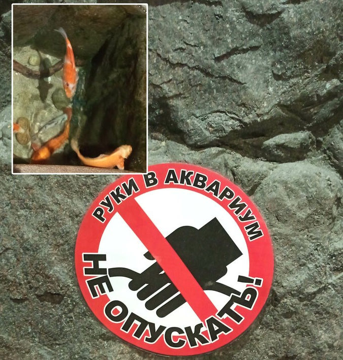 Сейчас как кусь!