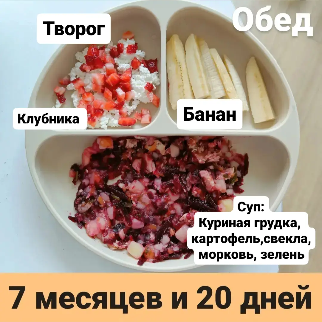 Пример тарелки в 7 месяцев 