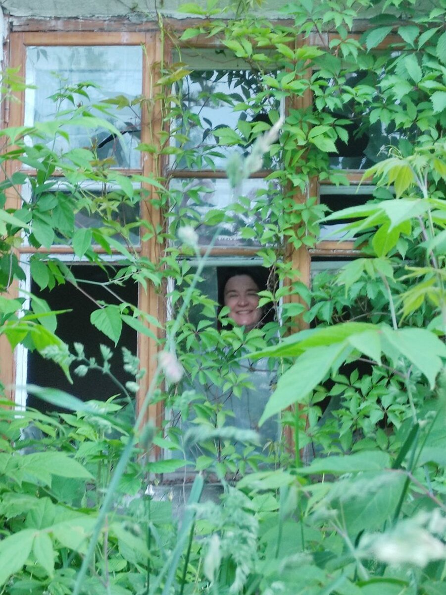 Любуюсь диким виноградом в Донском