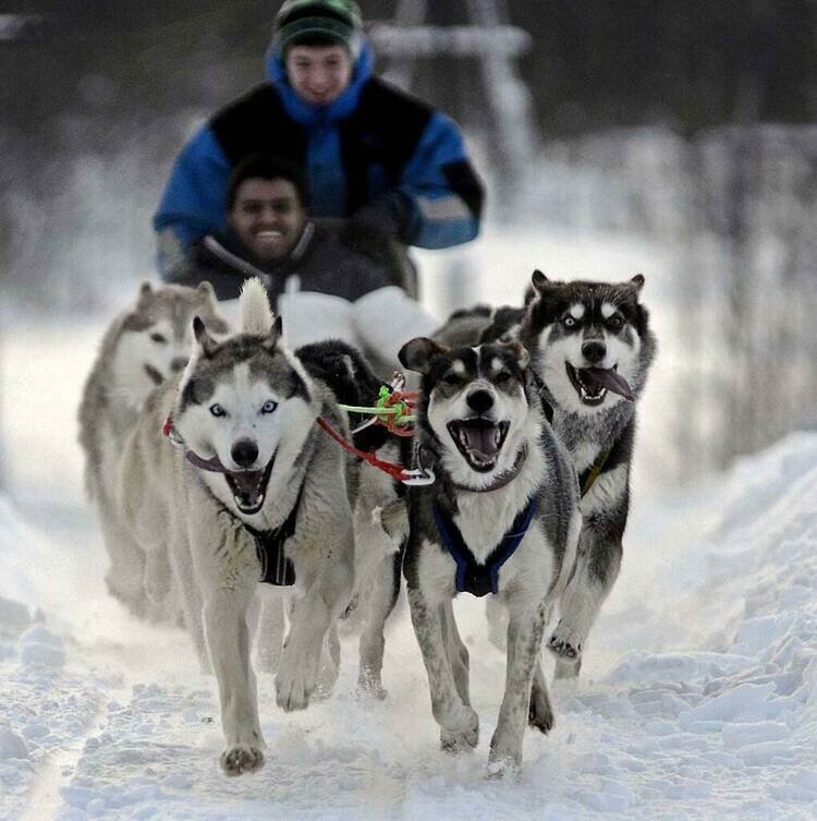 Фото: Лев Федосеев
