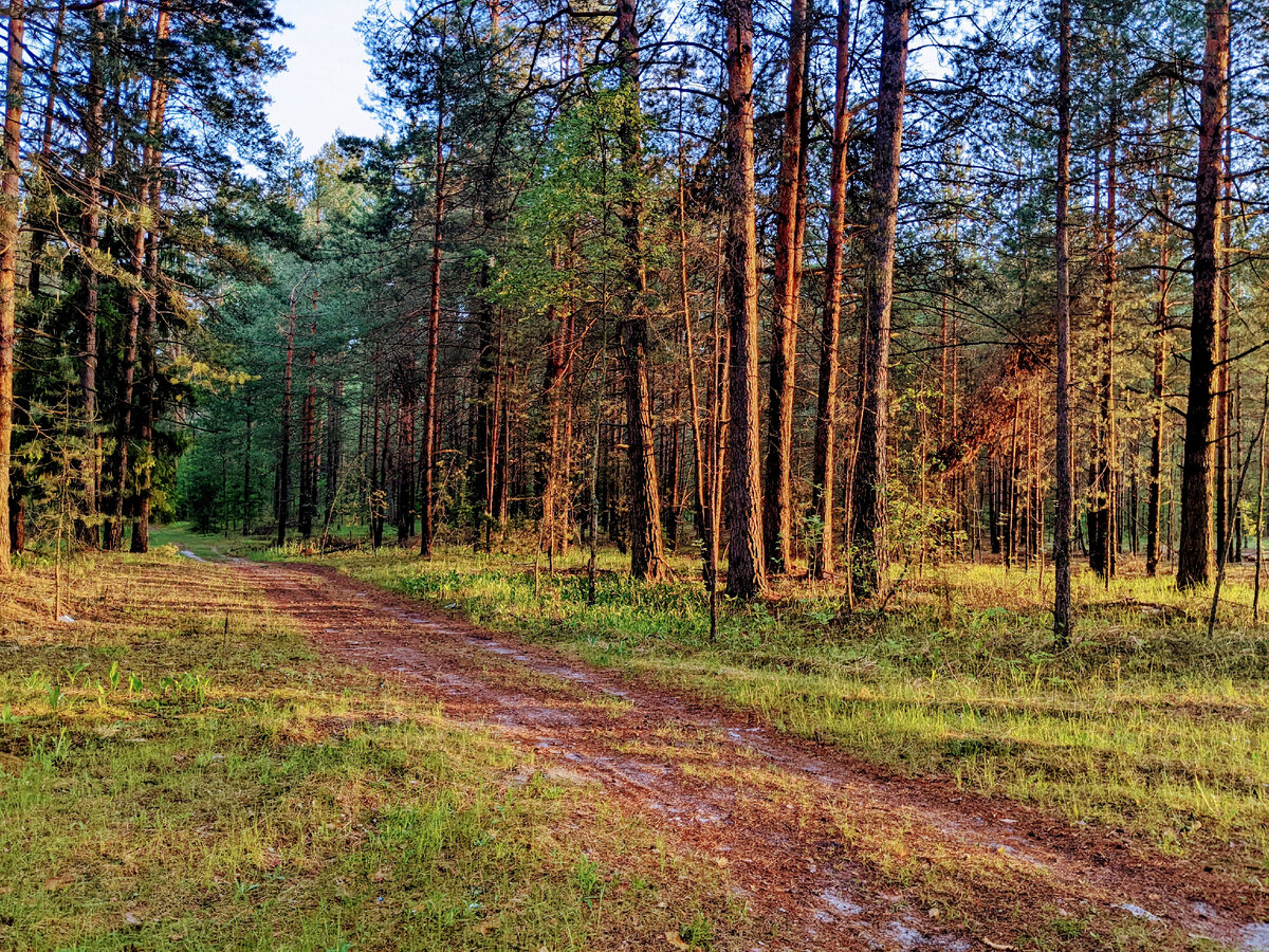 фото из личного архива