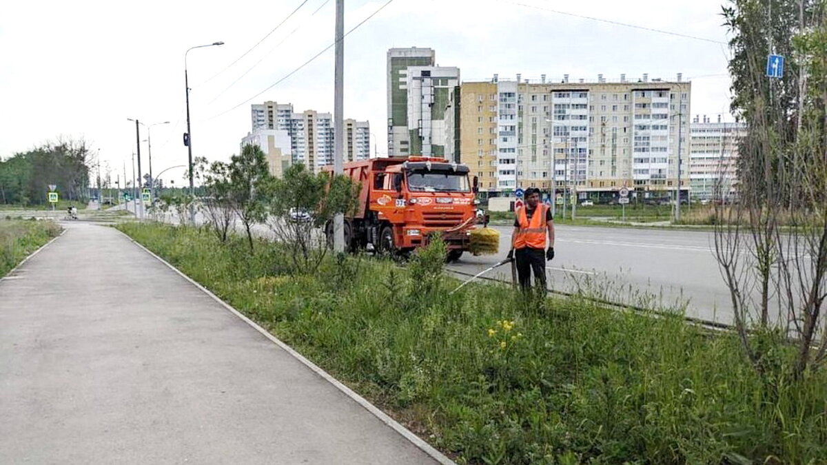 В Челябинске из-за жары в семь раз усилили полив деревьев и газонов | РИА  Челябинск 24 | Дзен