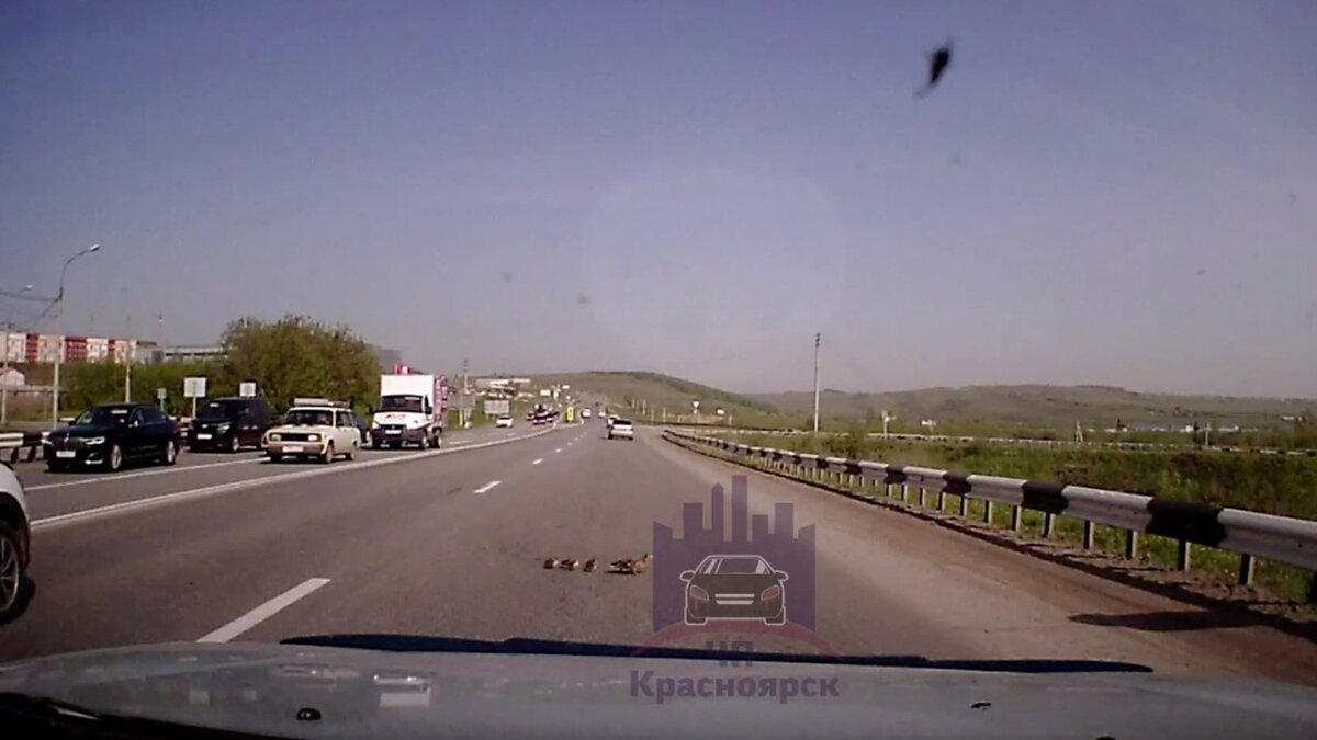     В Красноярске в районе Солонцов автомобилист остановился перед семейством уток, которое переходило дорогу, и попал в аварию.