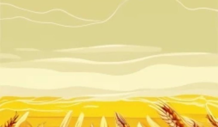    Великая пшеничная заброшка в США 2023