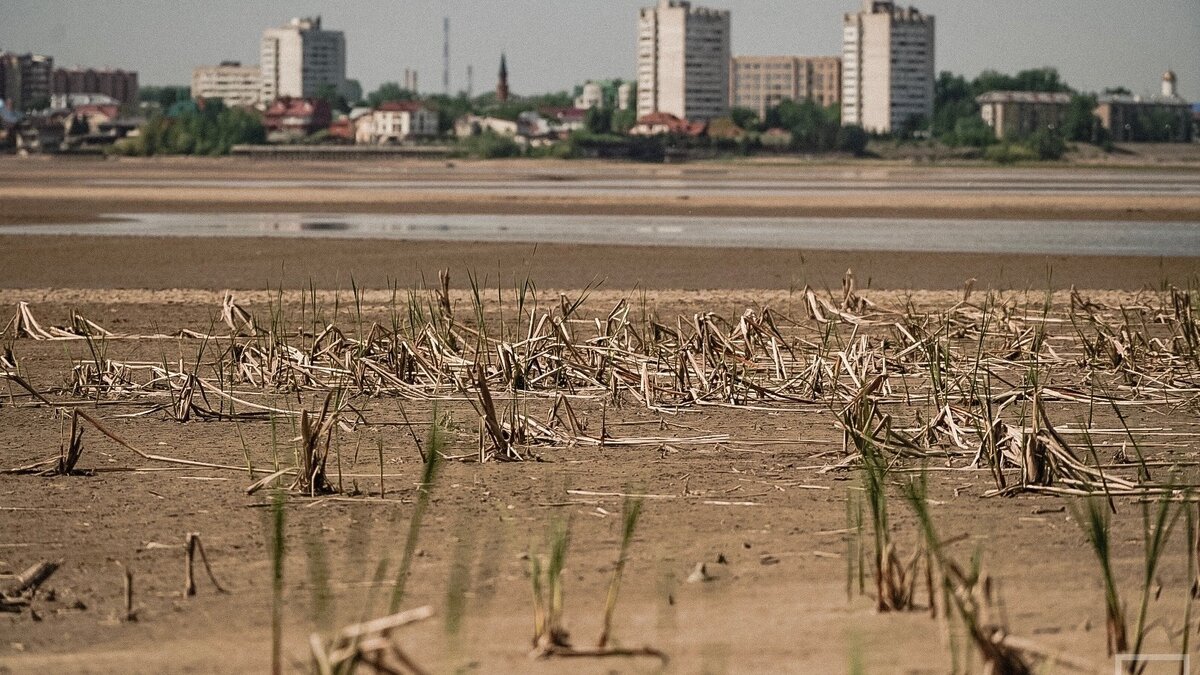     Глобалисты уже несколько десятилетий подряд утверждают: человеческая цивилизация движется в сторону пресноводного кризиса, который спровоцирует Третью мировую войну. Нехватка питьевой воды может стать поводом для военных конфликтов. И это — не абстрактные утверждения.