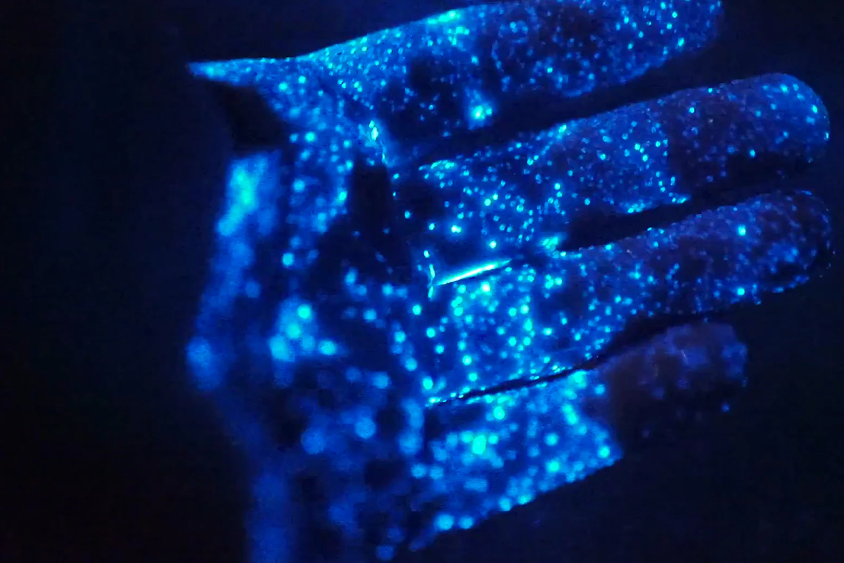 Получение светиться. Биолюминесцентный планктон под микроскопом. Корифосфин люминесценция. Биолюминесценция светлячков. Кораллы биолюминесценция.