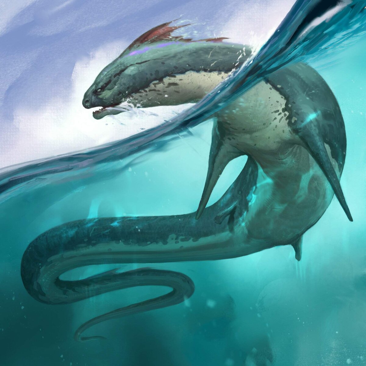 �������