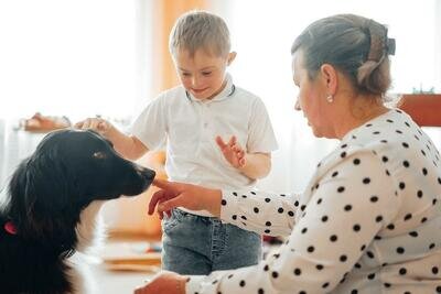    Занятие с собаками в комплексном центре социального обслуживания и реабилитации «Орехово-Зуевский» © Сайт Министерства социального развития Московской области