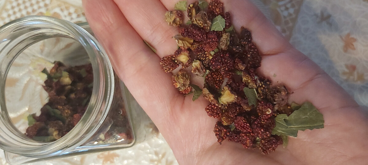 Фото автора. Сушёная лесная земляника и листья. Сбор и сушка прошлогодние