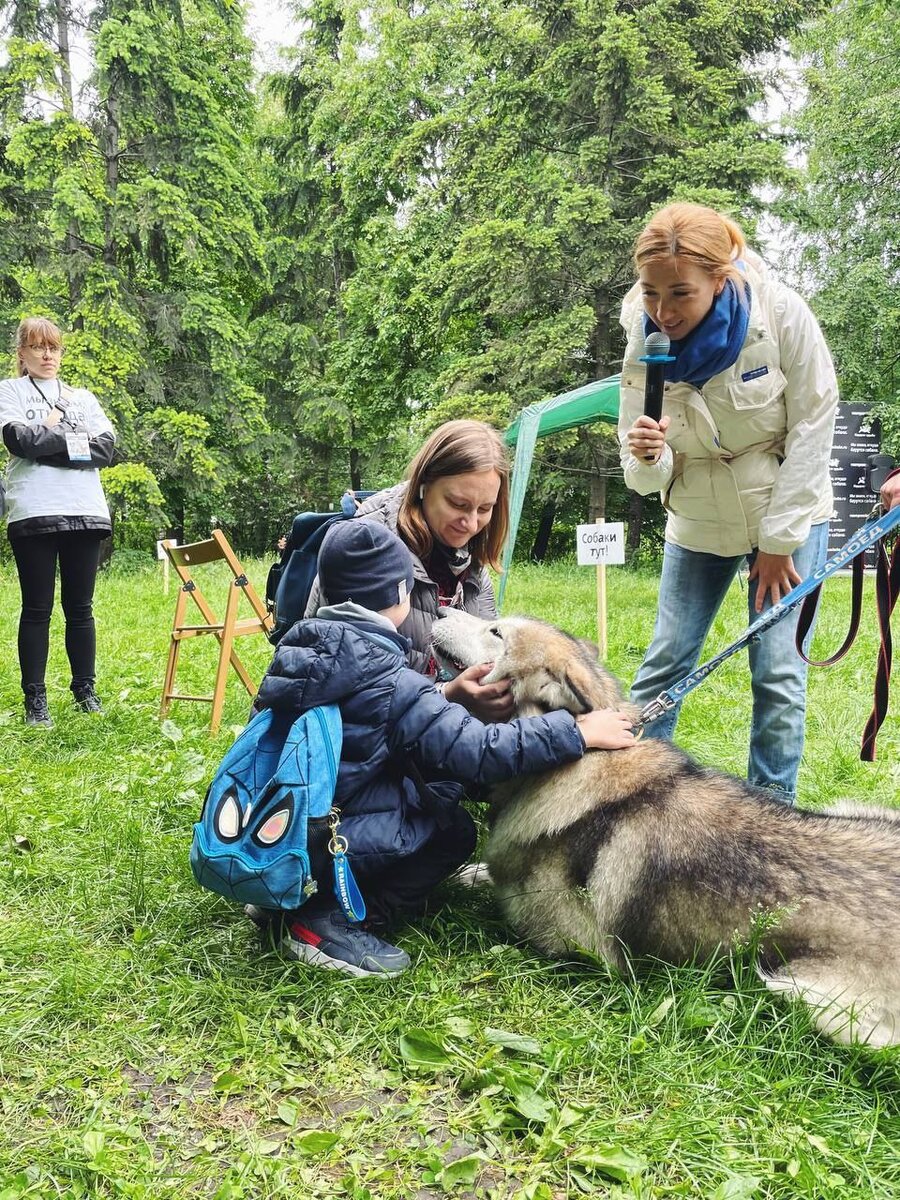 Рози стала домашней, благодаря выставке! | Солнечный друг (Приют Солнцево,  Москва) | Дзен