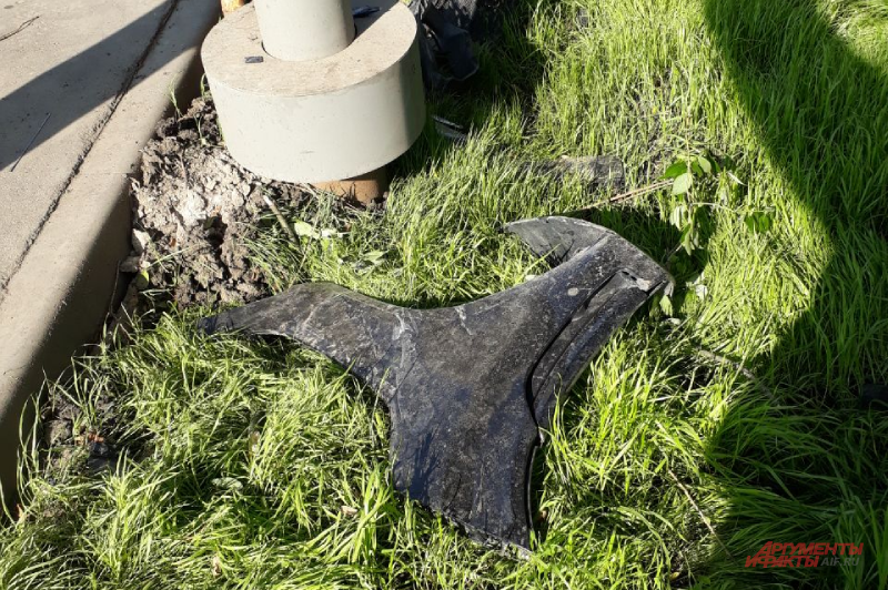    Фото:  АиФ/ Анна Соколова