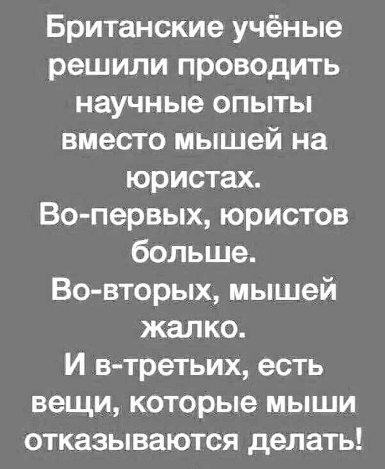 Понять проводить. Британские ученые провели опыты на юристах. Ученые решили проводить опыты на юристах. Мвши отказывались делать юристы. Испытания на юристах мыши отказываются.