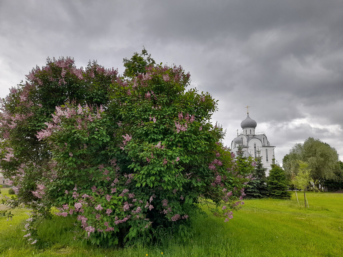 Фото автора. 