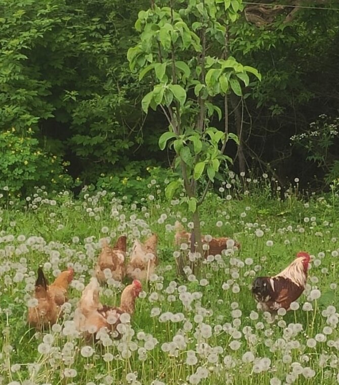 На прогулке 