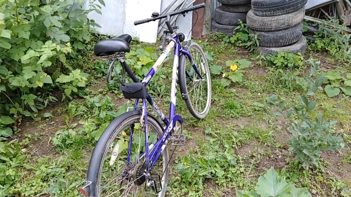 Вот он, король городских парков.