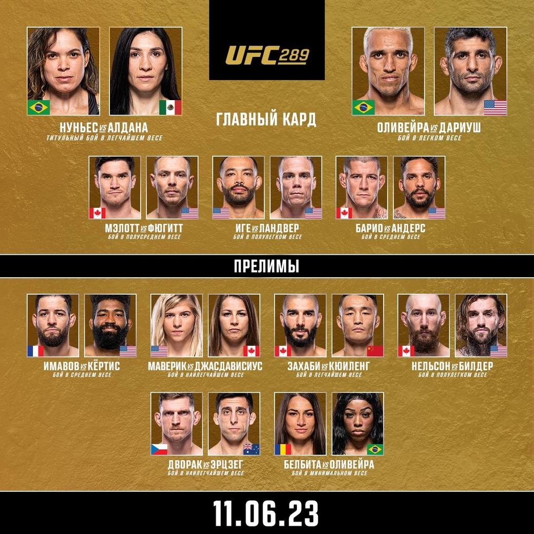     UFC 289