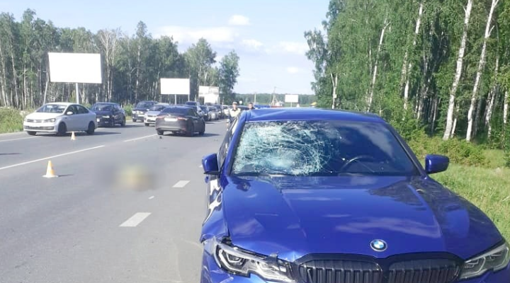 Если дтп произошло в поле