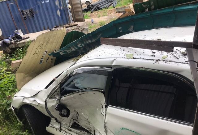    Фото:  АиФ/ Дмитрий Власов