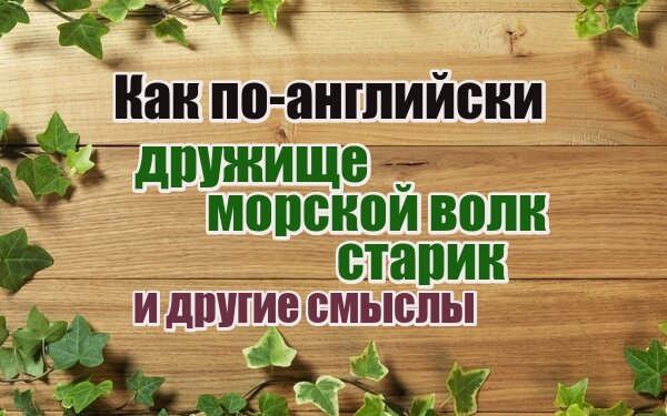 английские слова перевод