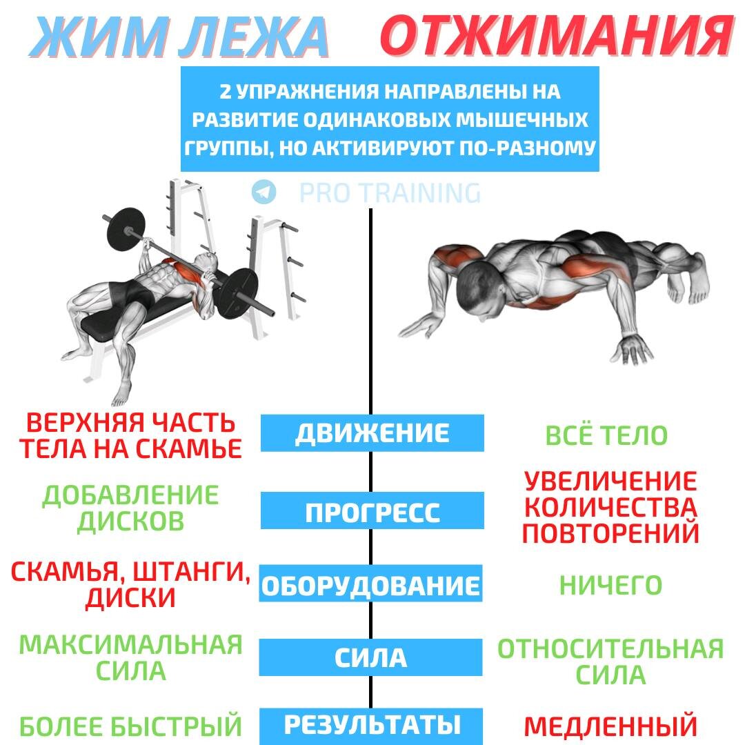 Эффективная программа тренировок на силу для достижения максимальных результатов