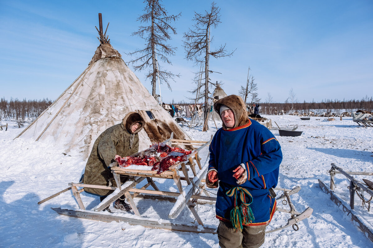 Как моются, ходят в туалет и рожают детей оленеводы в тундре в -50 °С:  увидела, узнала и рассказываю вам | Путешествия с фотокамерой | Дзен