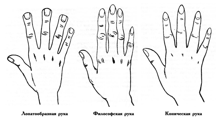 Какие бывают руки. Типы кистей рук. Типы пальцев на руках. Форма кисти руки. Элементарный Тип руки.