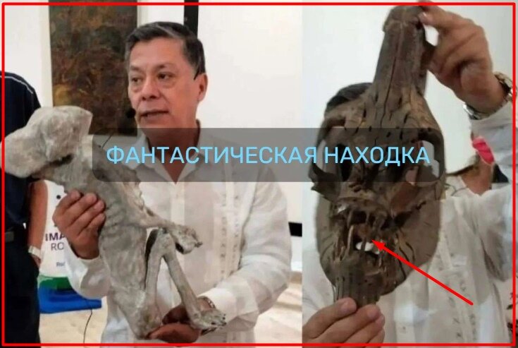 Мужчина нашел останки НЛО