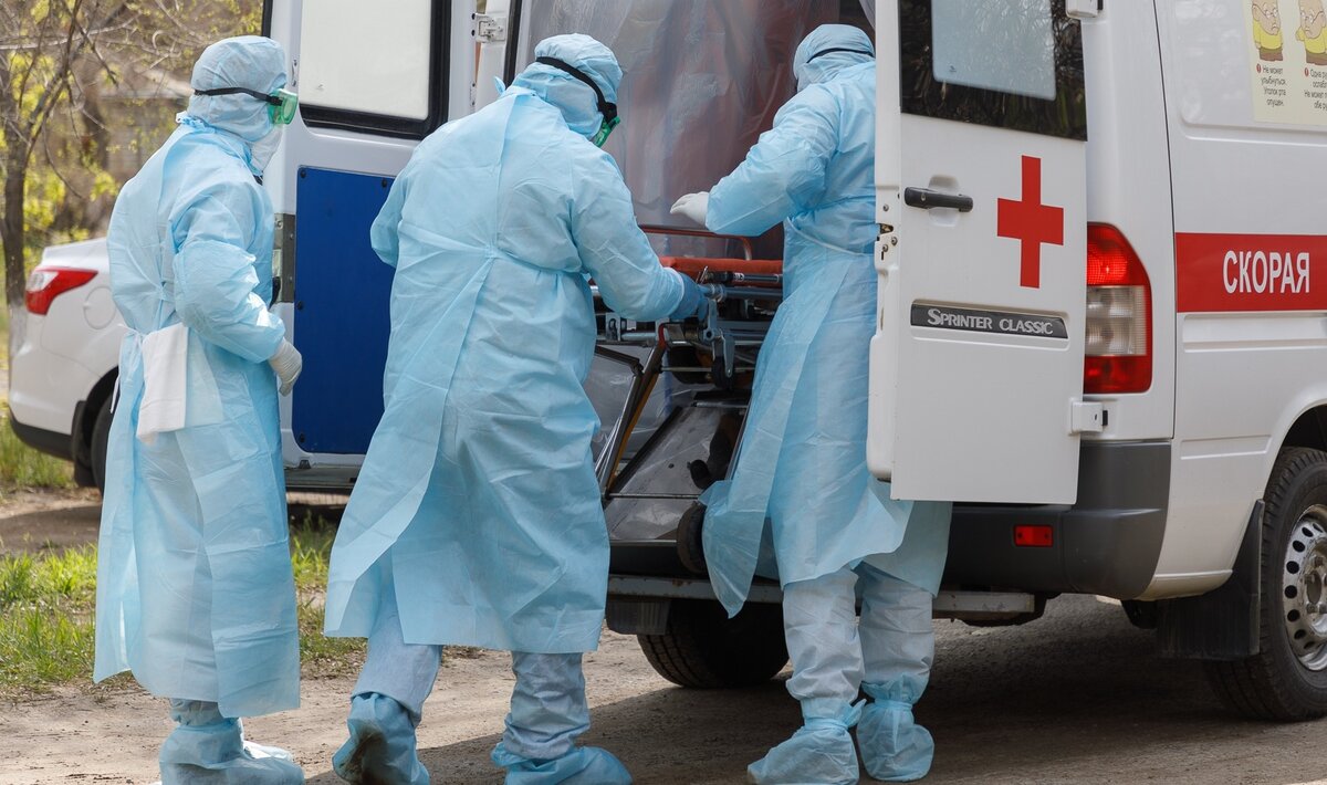 Источник: news.myseldon.com