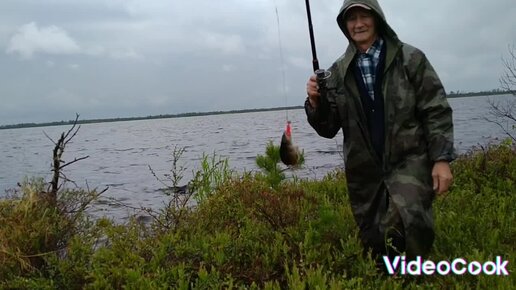 Охота пенсионера в сибири видео и рыбалка. Охота и рыбалка пенсионера в сибири. Охота пенсионера в сибири видео и рыбалка. Охота пенсионера в сибири видео и рыбалка. Охота пенсионера в сибири видео и рыбалка.