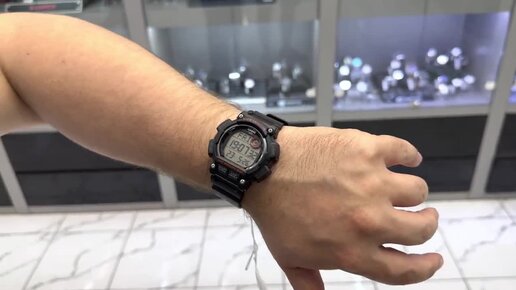 WS-2100 инструкция CASIO модуль 3466