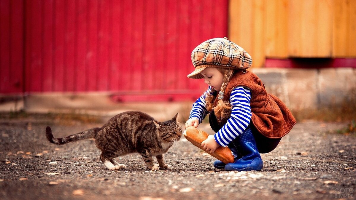 Фото: ingpeaceproject