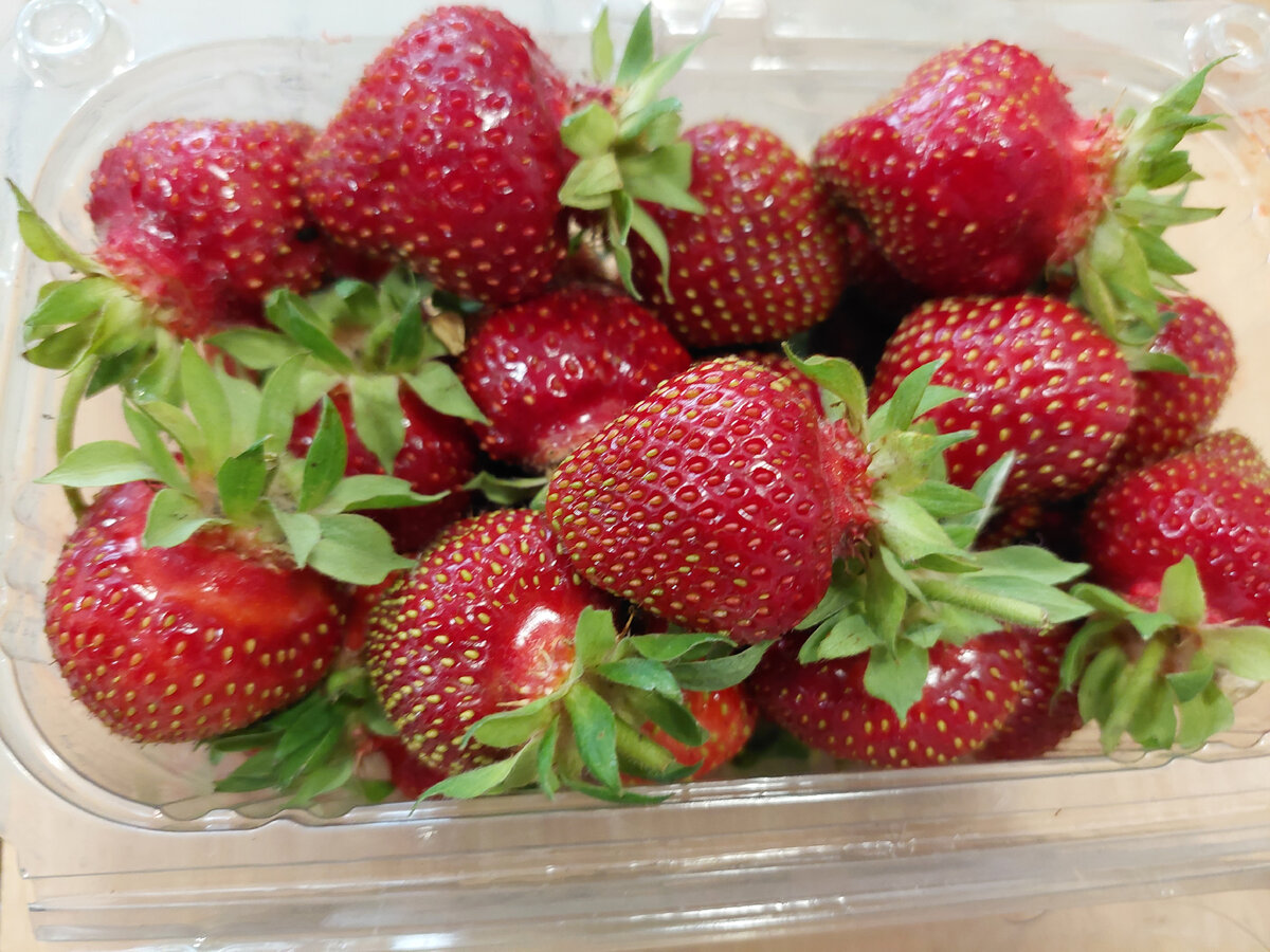 Клубника Царица